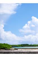 [JP]TanoYu(田野憂)-【デジタル限定】1st写真集えむかっぷ？[141P]