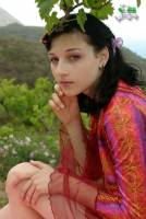 [Image: blbq809pucse_t.jpg]