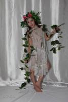 [Image: cc82q1q080id_t.jpg]