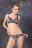 [Image: 1d62humg4h22_t.jpg]