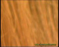 [Image: 4gn2eckegaic_t.jpg]