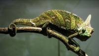 Mixturka - Wallpapers Collection 372